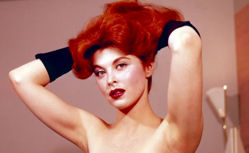 Tina Louise Net Worth